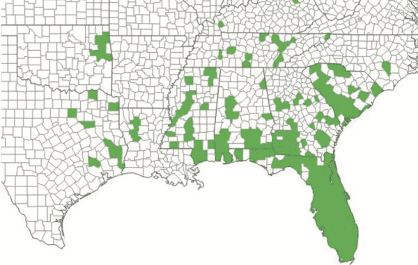 Figure 4. Reported distribution of TSA. EDDMapS. 2019. Early Detection and Distribution Mapping System. The University of Georgia, Center for Invasive Species and Ecosystem Health. Available online at www. eddmaps.org/; last accessed July 2, 2019.