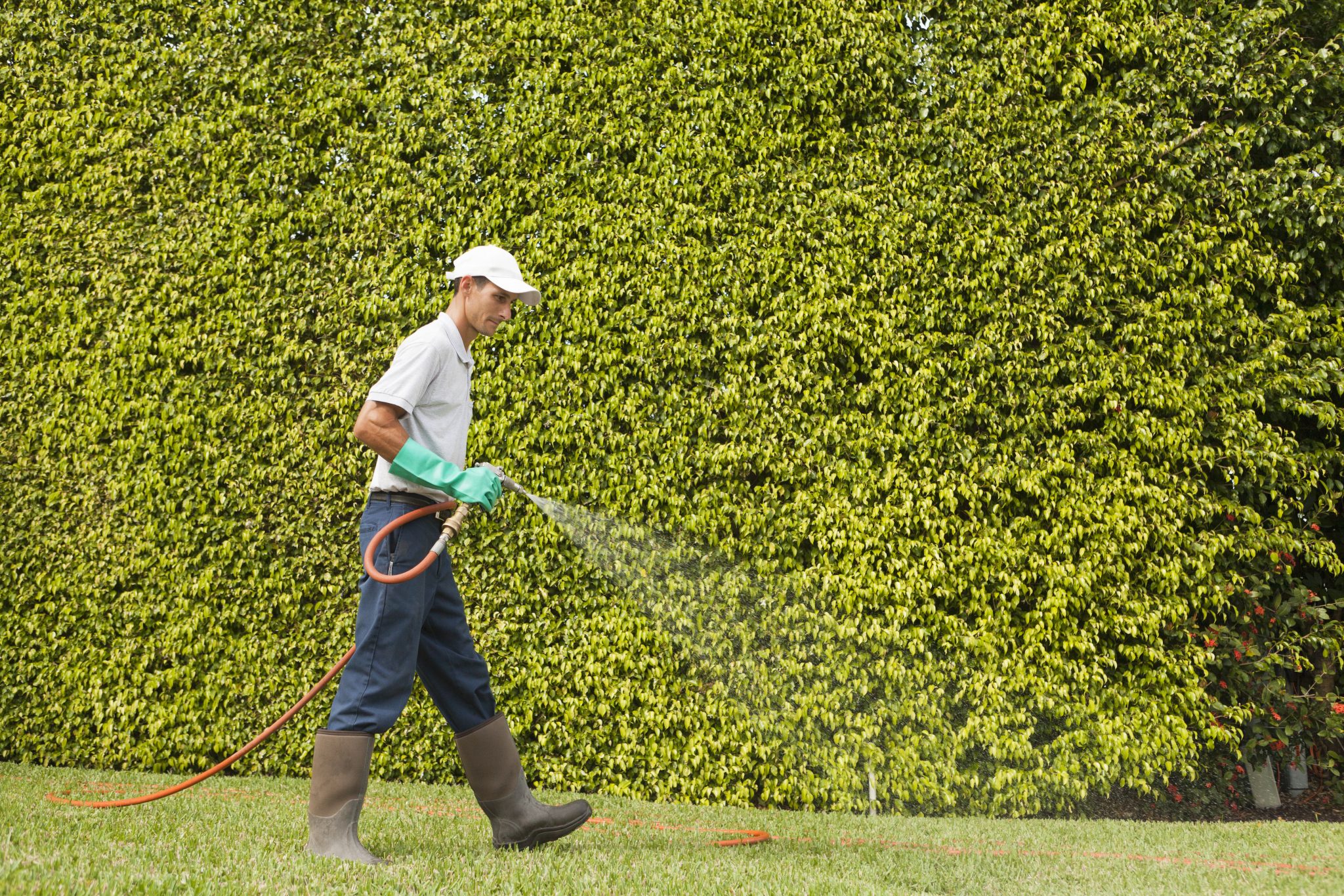 2021 Integrated Pest Management Guides Available on Website - Alabama Cooperative Extension System - Vimarsana News