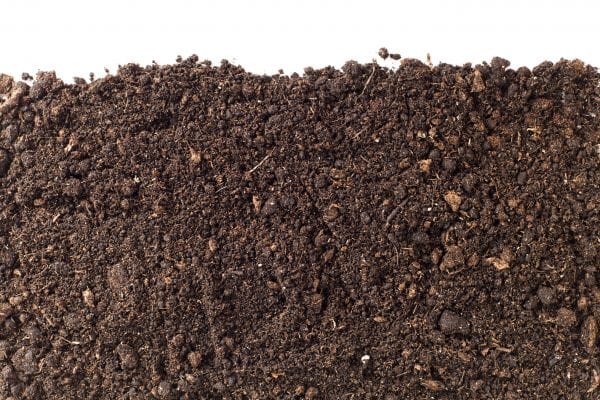 A close-up of soil against a white background