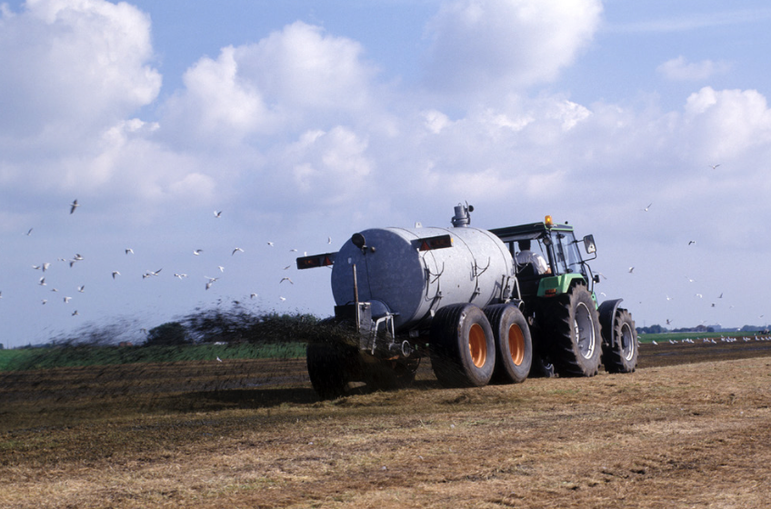 apply organic soil amendments