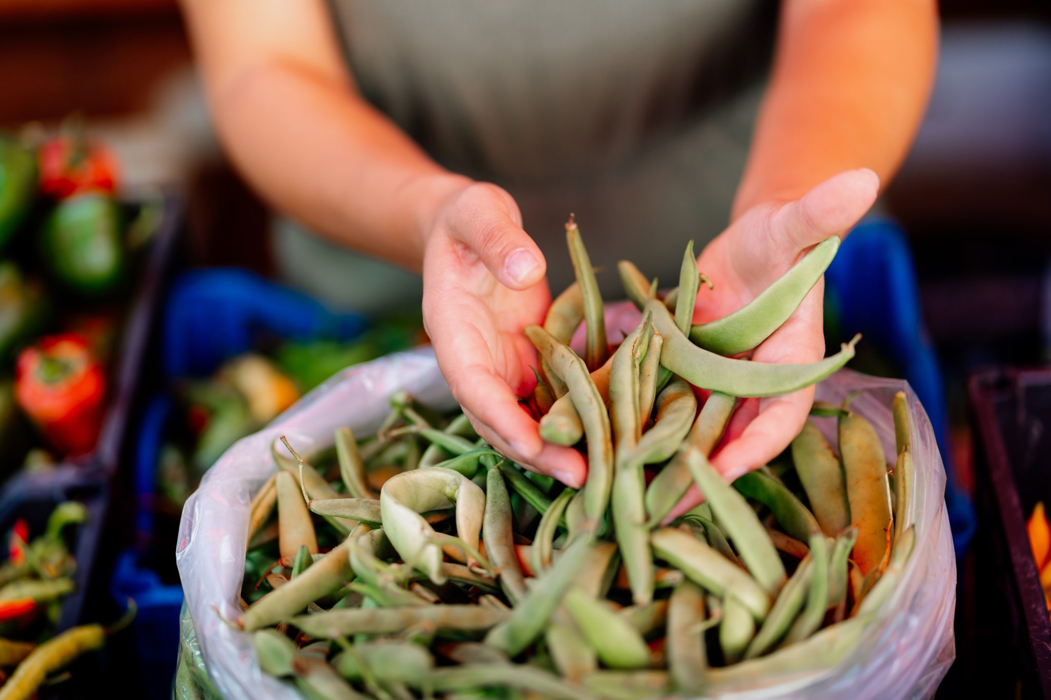 hands holding fresh beans