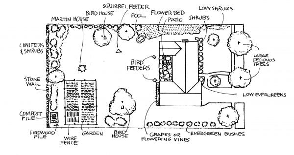 Hand drawn yard plan sample