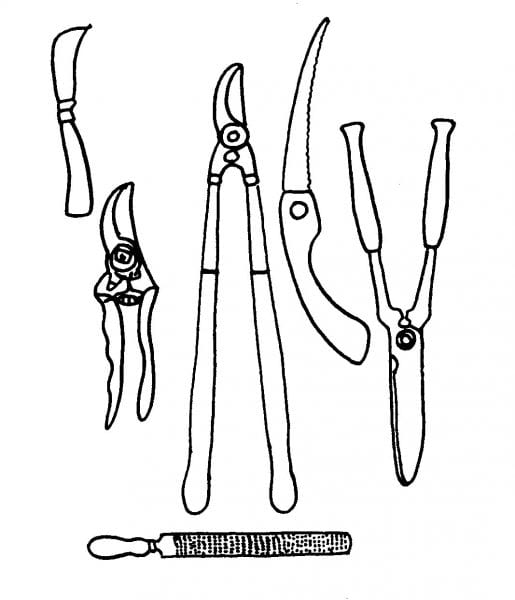Tools used for pruning.