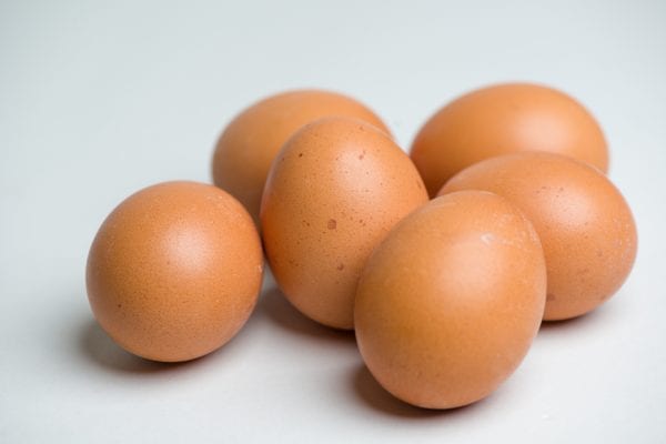 Eggs on a white background