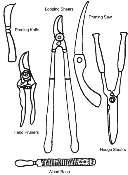Figure 5. Pruning tools.