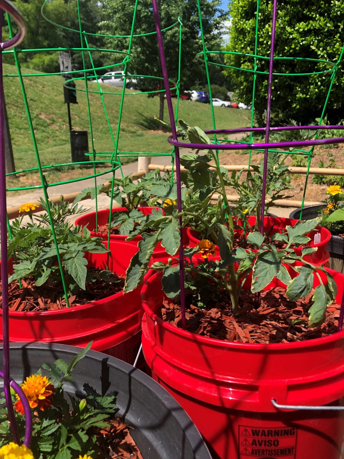 Five Gallon Bucket Supply List Alabama Cooperative Extension System