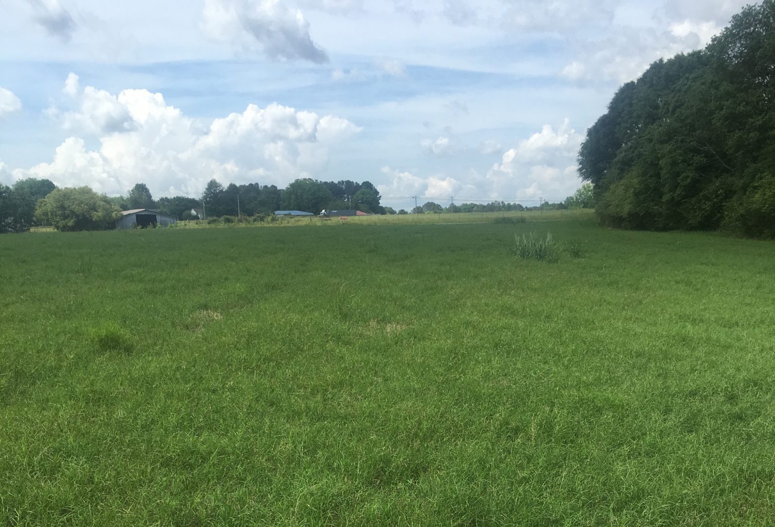 Bermudagrass hayfield in Cherokee County Alabama