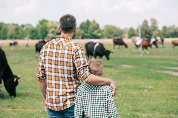 Young father and son with cows in the background.