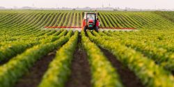 tractor spraying crops in the field