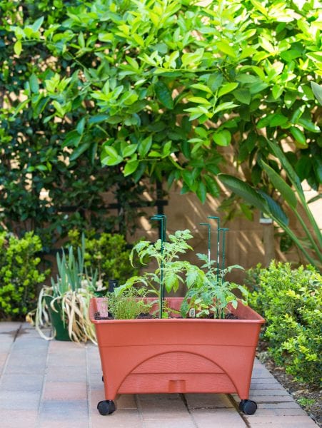 Garden planter box