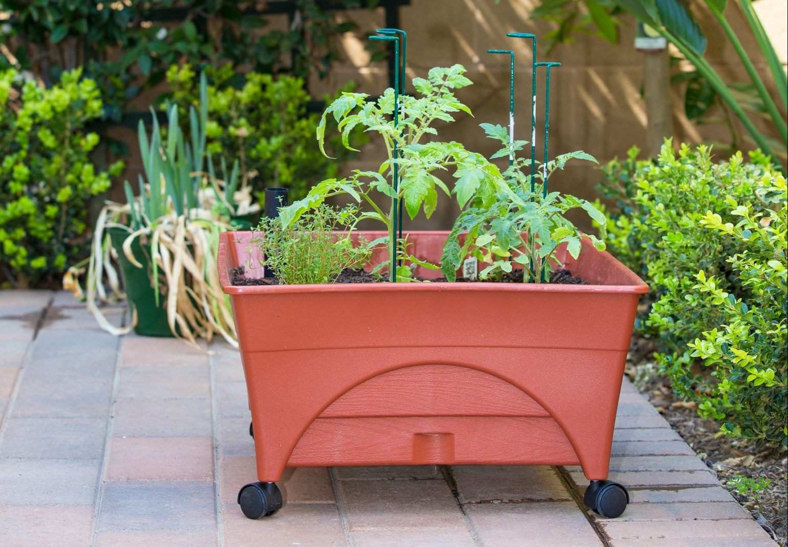 Garden planter box