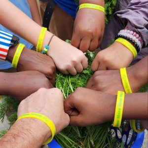 A diverse group of hands all with Grow More, Give More bracelets on.
