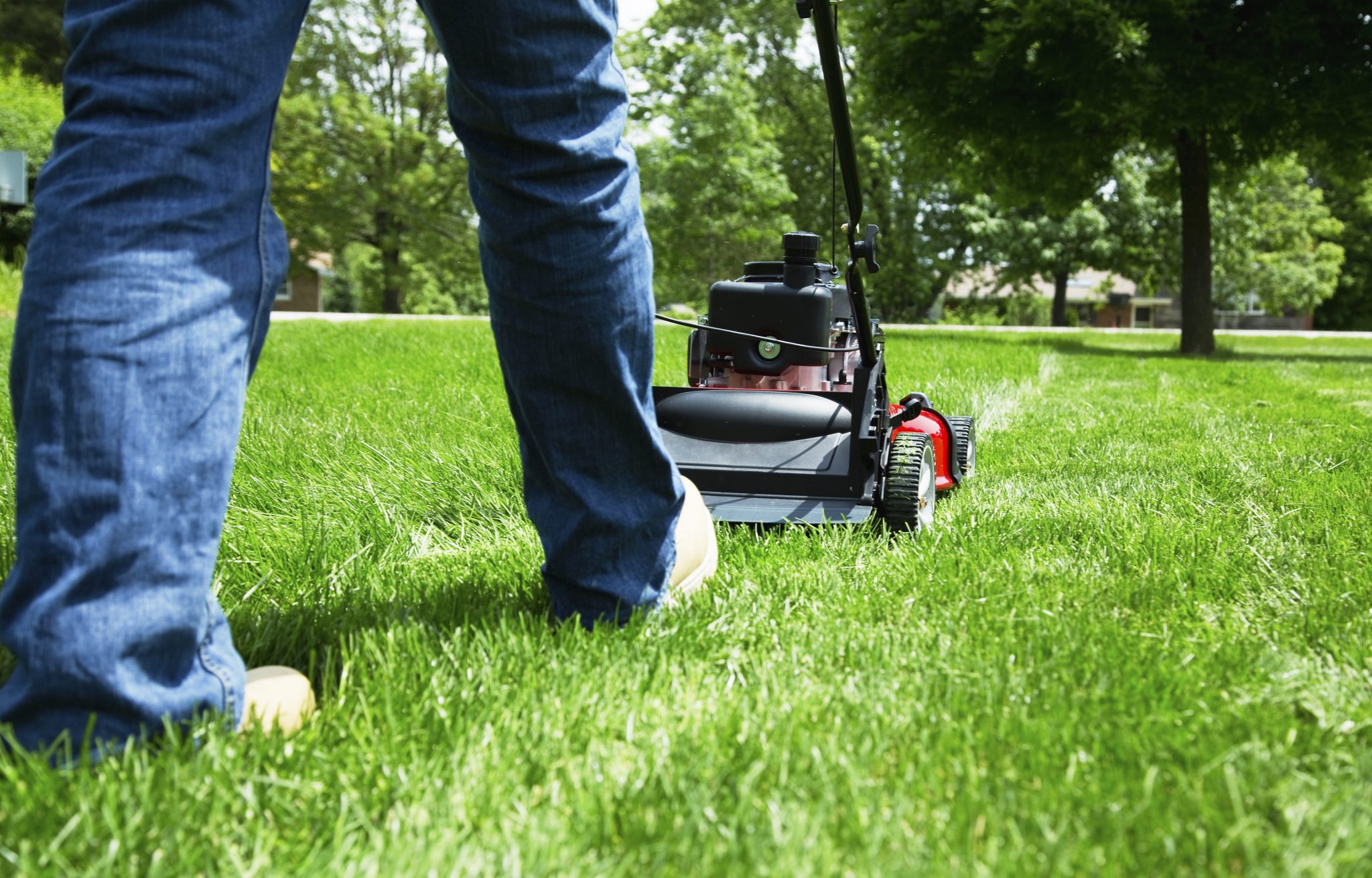 Lawn Care Orem Utah