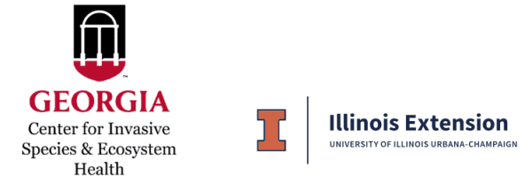 Logos for Georgia for Invasive Species & Ecosystem Health and Illinois Extension