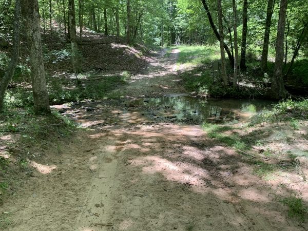 Stream Crossing in woods