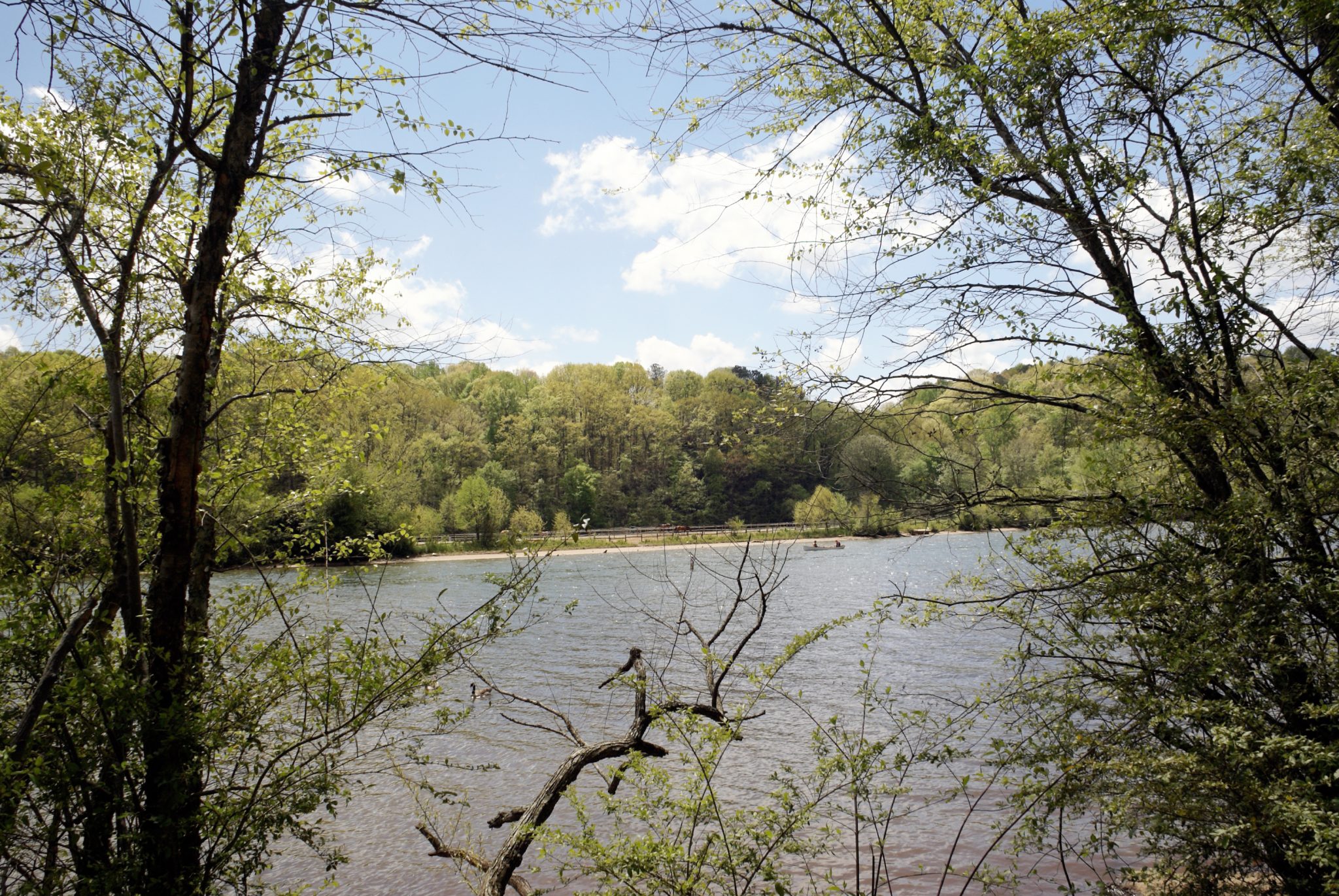 Chattahoochee River Near Atlanta Georgia