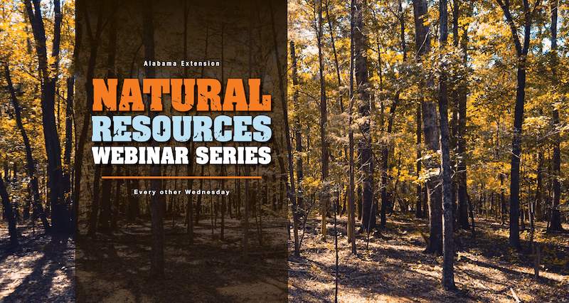 Natural Resources Webinar Series Every other Wednesday