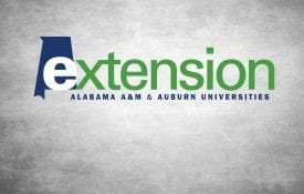 Extension logo on a gray background