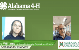 Interview with Auburn University Equestrian Coach Greg Williams