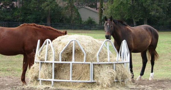 The best option for determining hay quality is a forage test to evaluate the nutritive value of the hay.