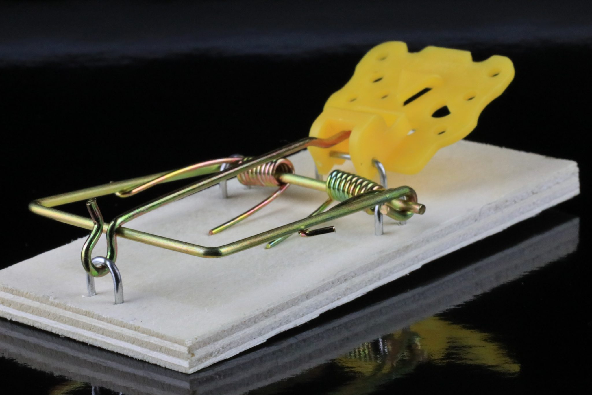 Controlling Rats Controlling Rats and Mice Around Your Home - Alabama Cooperative ...
