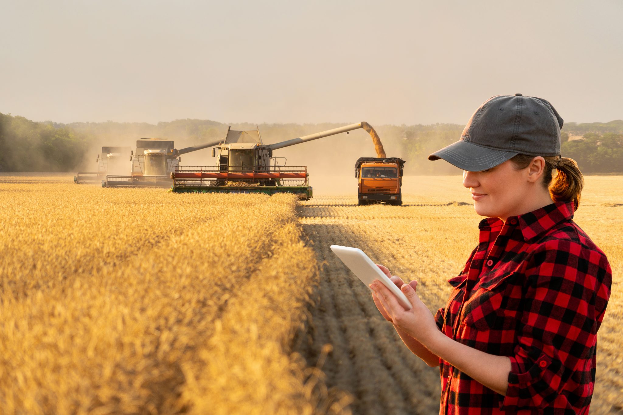 Woman farmer with digital tablet on a background of harvesters.