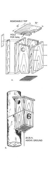 Figure 2. Assembly and installation details for a wooden next box for squirrels (after Barkalow and Soots, 1965b).