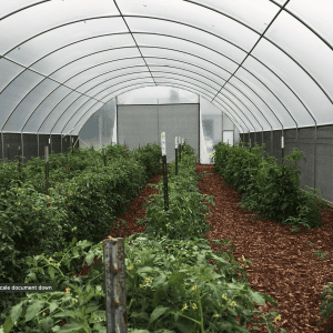 netting high tunnel