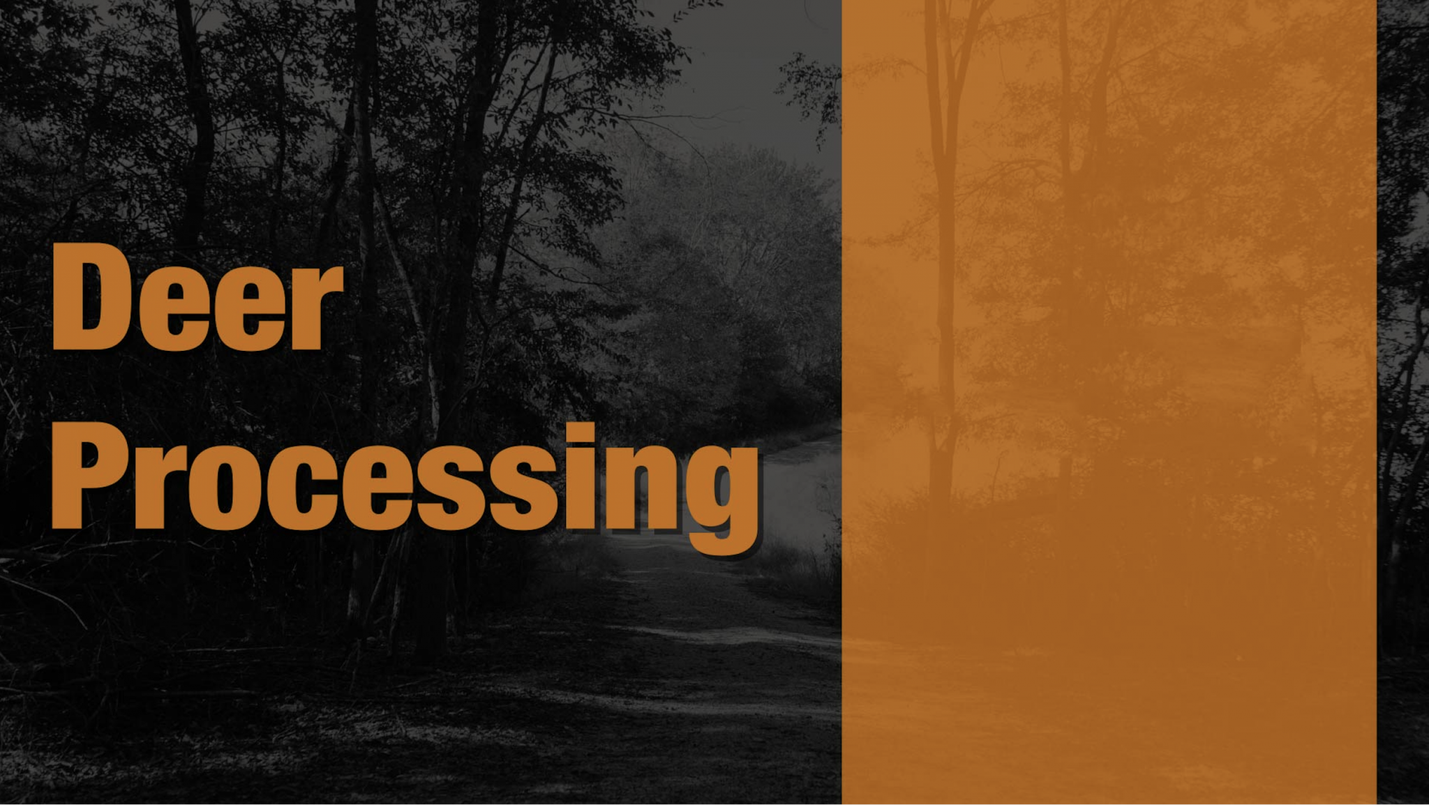 Deer Processing Title Card