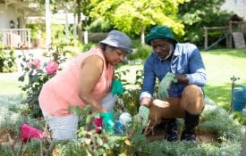 Older black couple working in the flower bed