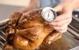 Checking the temperature in a cooked turkey