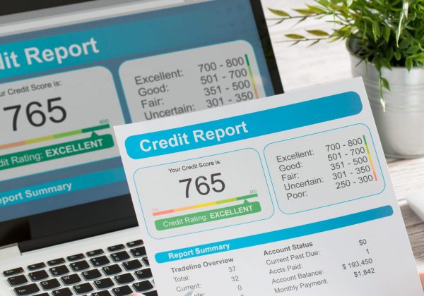 Figure 1. Credit report. Stock image by scyther5.