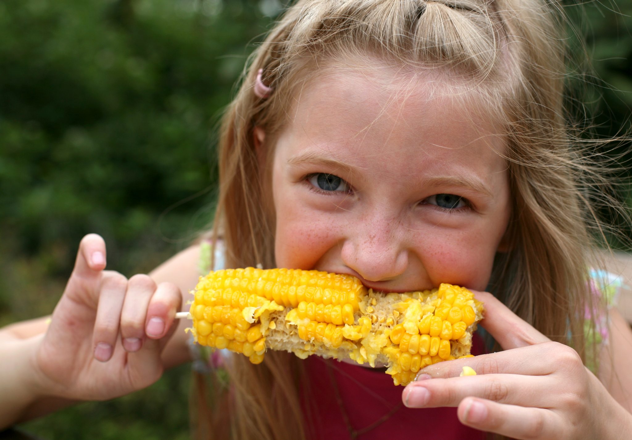 Young girl eating corn on the cob