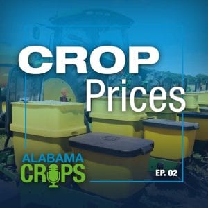Crops Podcast Episode 2