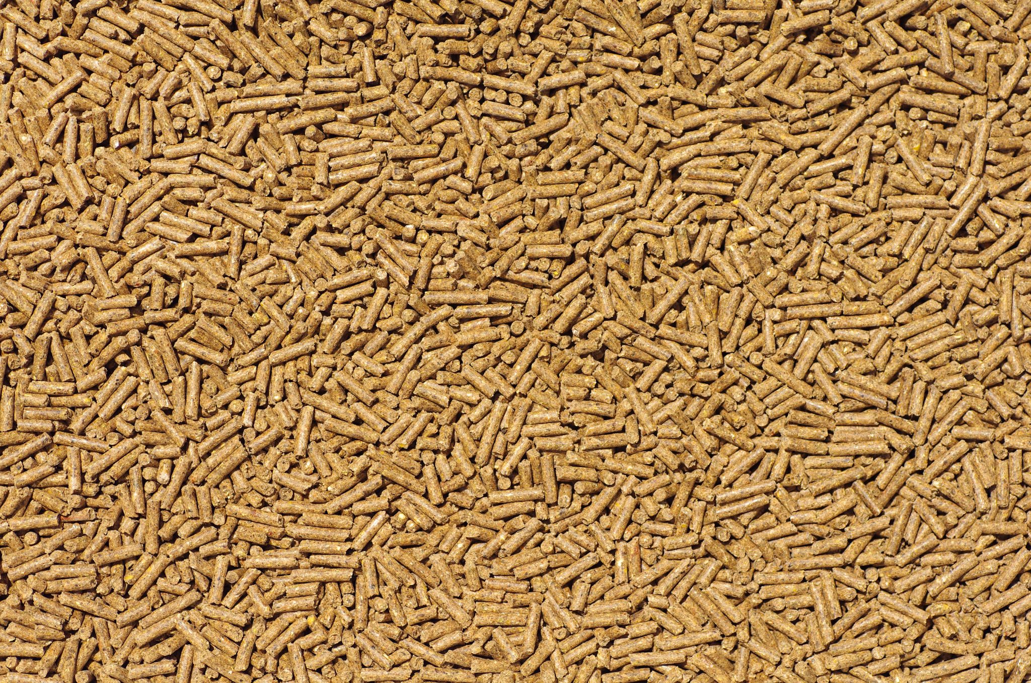 Close-up on livestock feed pellets