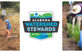 A collage of image of people working in nature. Also included is the Alabama Watershed Stewards logo.