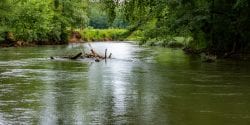 The Flint River in North Alabama near Huntsville