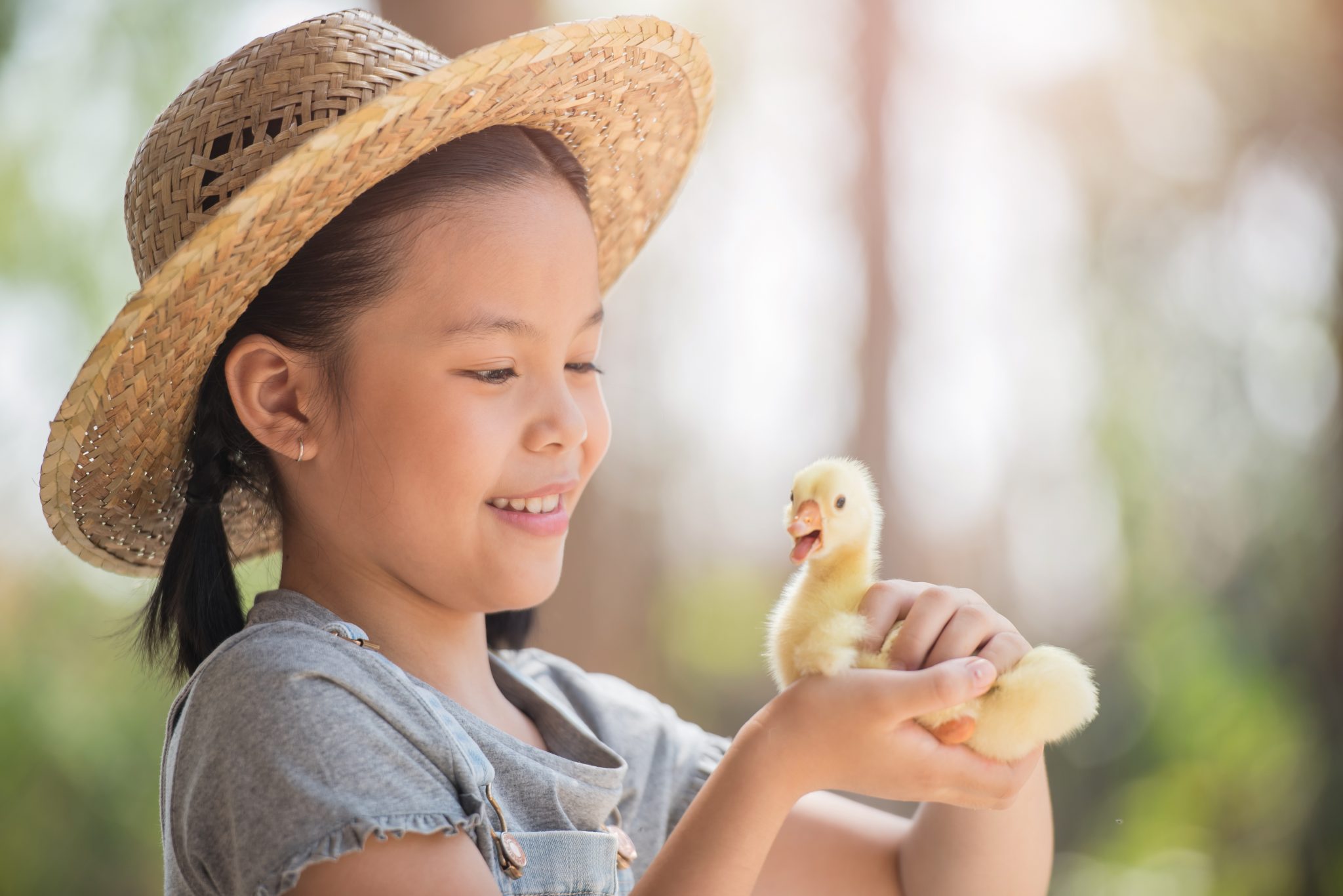 Young girl with a duckling in her hand
