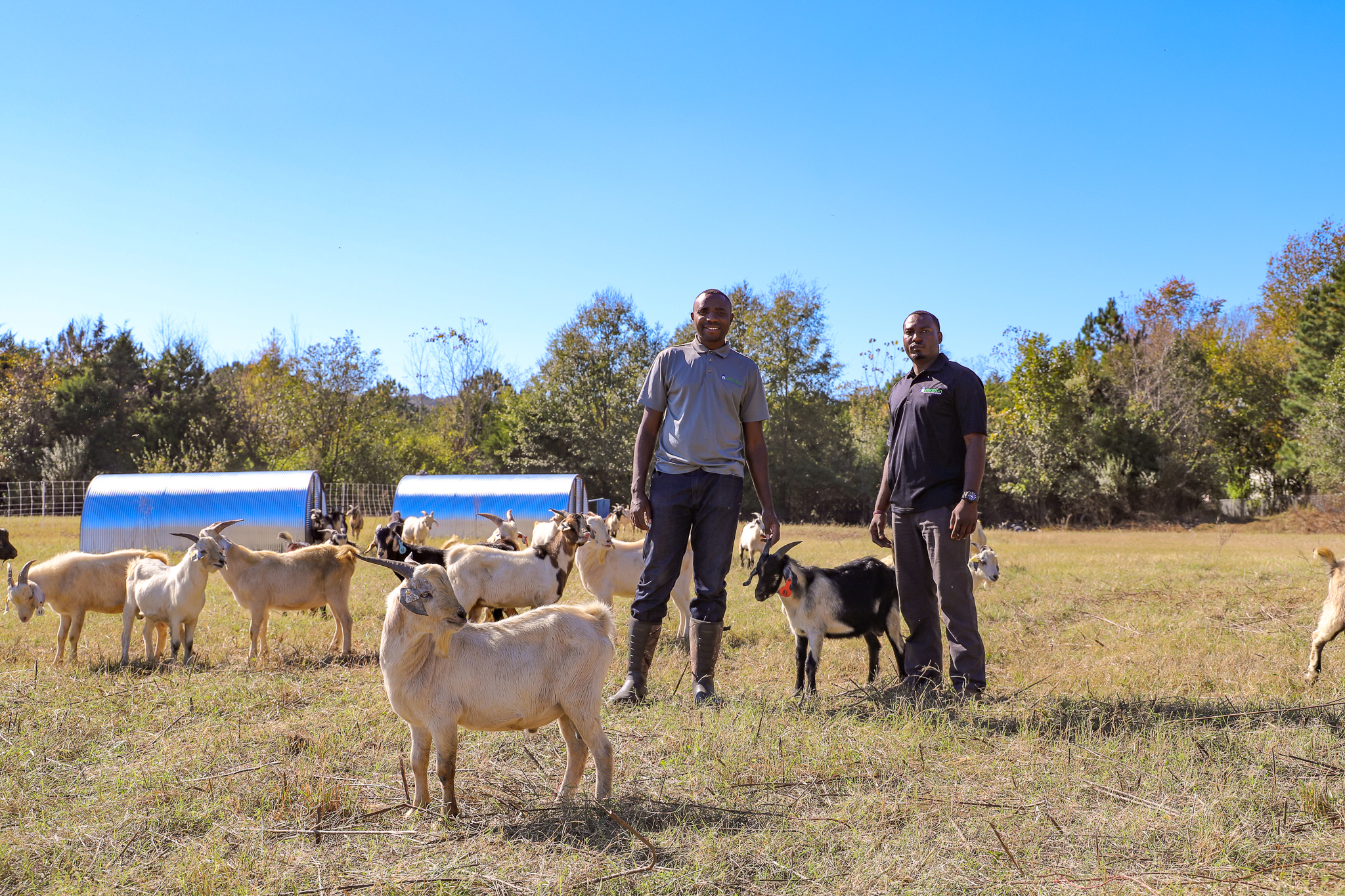 Two Extension professionals stand in a goat pasture.