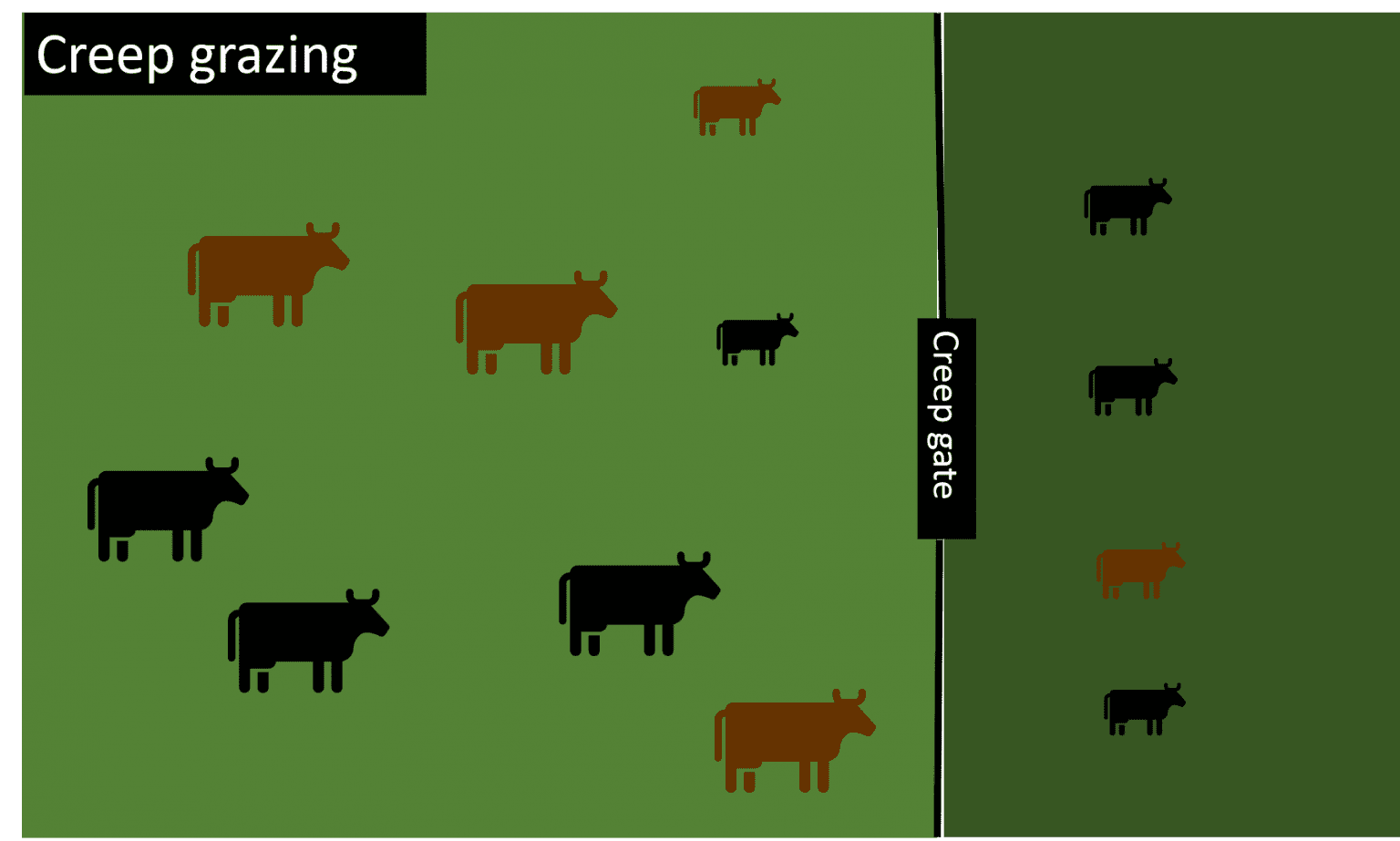 Grazing Management Concepts and Strategies Alabama Cooperative