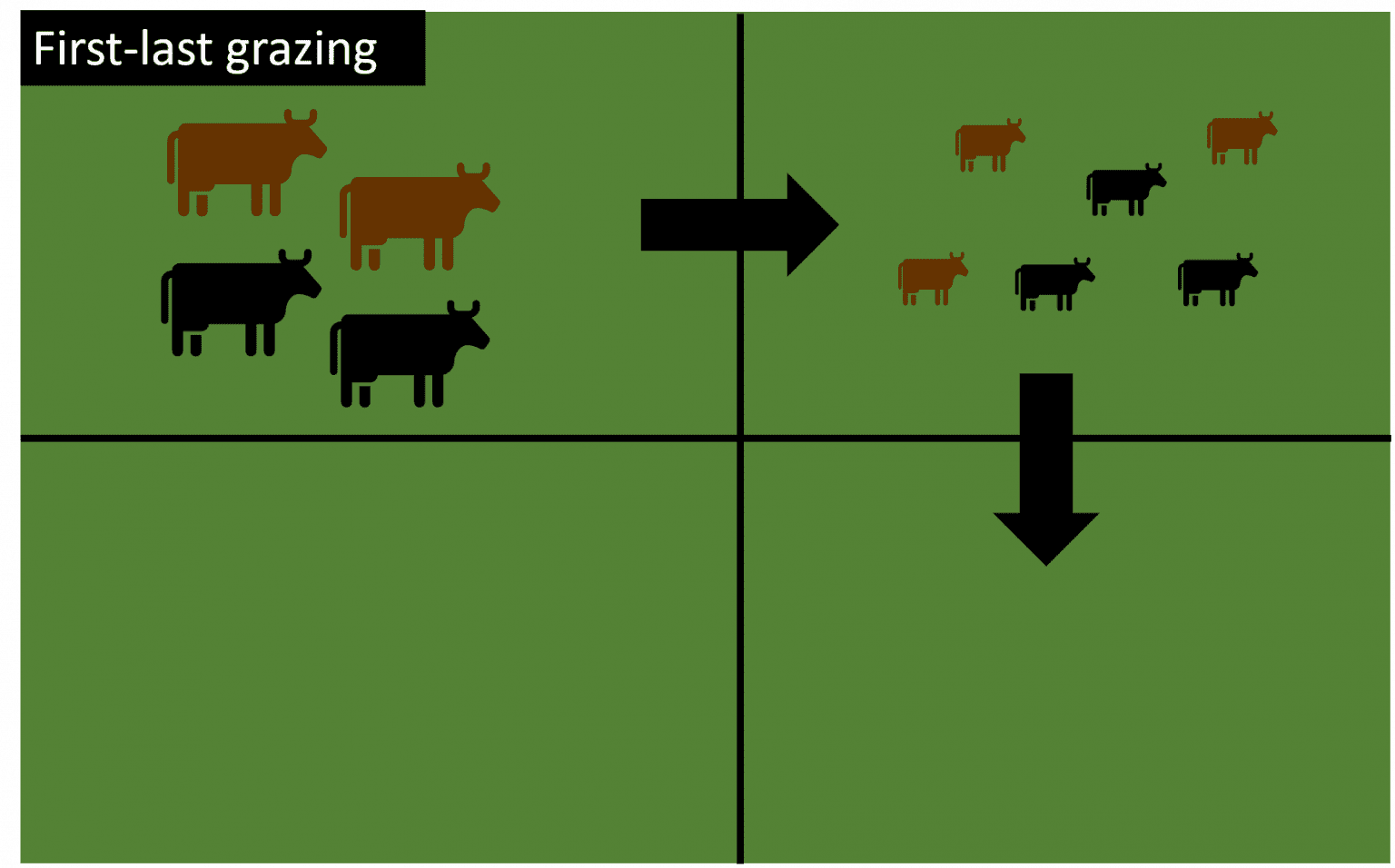 Grazing Management Concepts and Strategies Alabama Cooperative