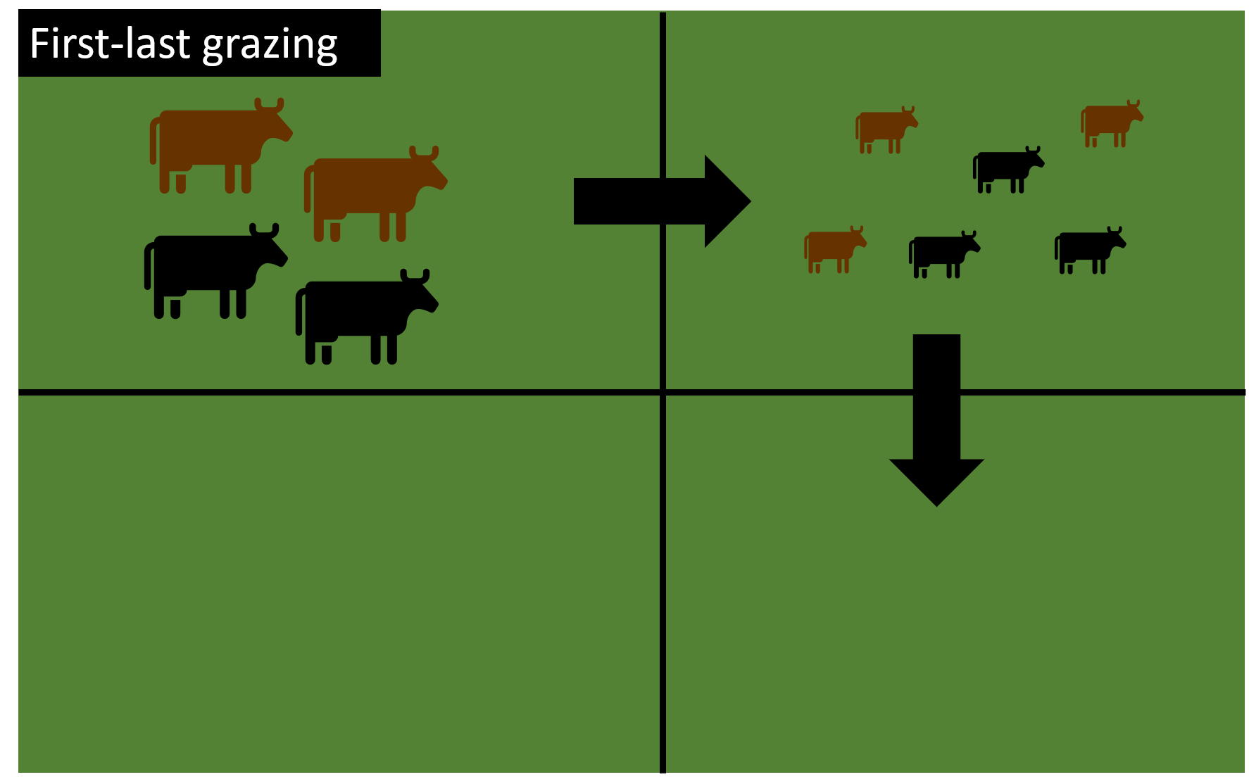 Grazing Management Concepts and Strategies Alabama Cooperative