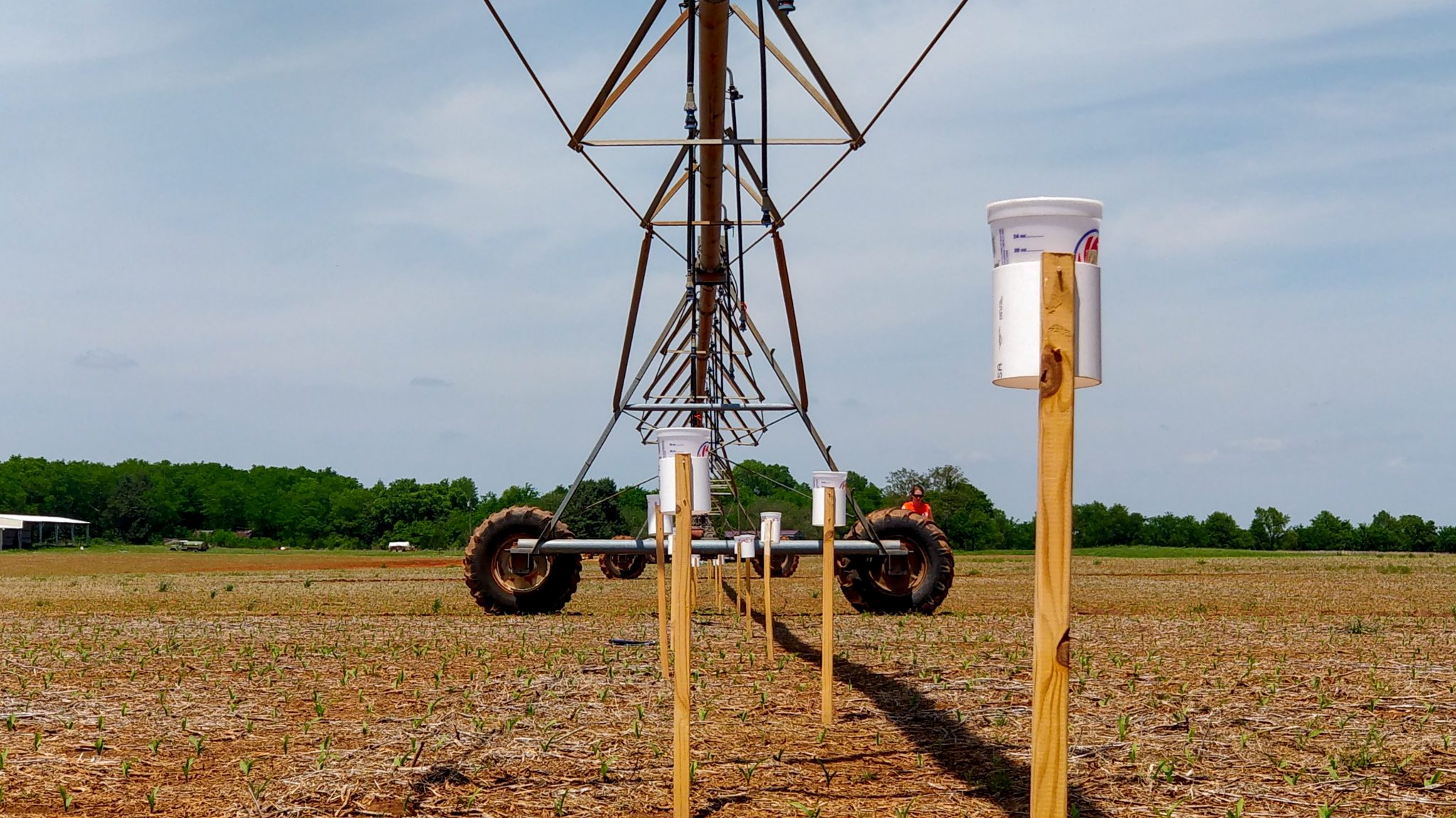 Figure 2. Uniformity of water application on a center pivot irrigation system assessed using a catch-can test.