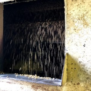 Figure 2. Medicated feed being dried at a feed mill.