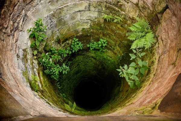 An abandoned covered with moss.