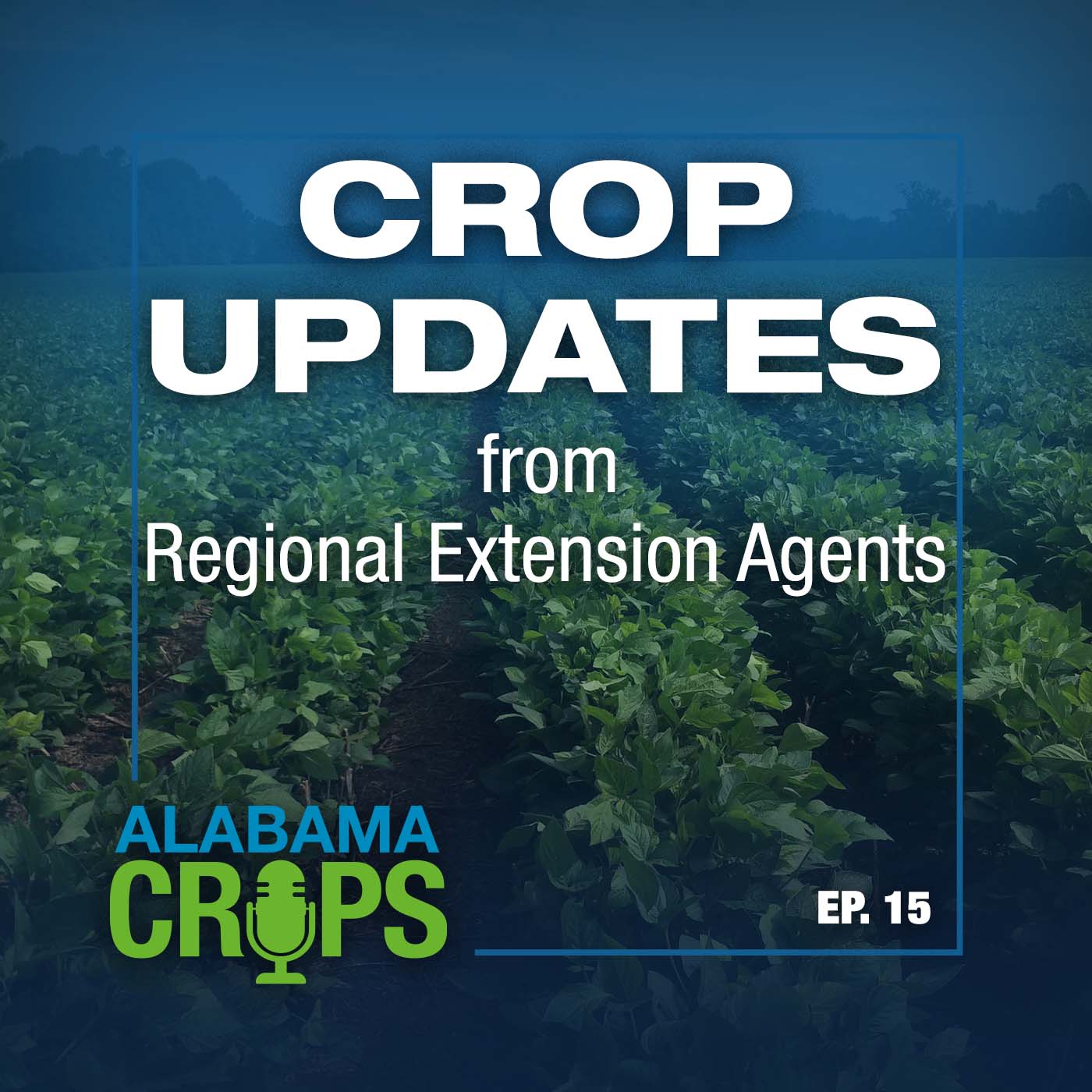Episode 15 – Crop Updates from Regional Extension Agents