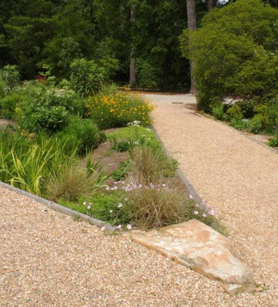 Figure 1. Donald E. Davis Arboretum rain garden between two paths