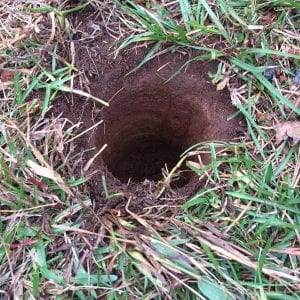 Figures 16. Digging a hole 1 foot deep to conduct an infiltration test.