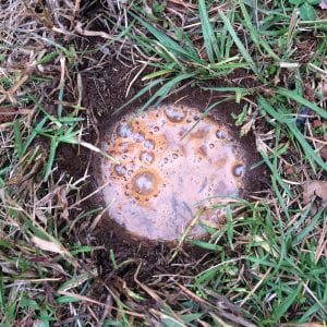 Figures 17. Filling the hole with water to determine infiltration rate.