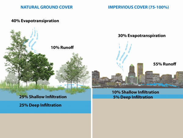 Figure 3. Stormwater runoff on natural vegetation versus stormwater runoff on urban impervious surfaces.